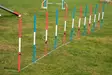 agility slalom - Agility ja hoopers - 43182 - 2