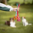 Bungee Knot Tug S with Hol-ee Football - Narupallot ja pallot - 20502 - 2
