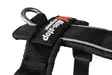 Line Harness 5.0, oranssi - Koiran valjaat - 40012 - 2
