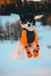 Non-Stop Dogwear Contact Bootie high orange - Tossut ja kengät - 41892 - 4