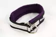 Pehmustettu puolikiristävä heijastinkaulapanta, violetti - Puolikiristävät pannat - 23782 - 2