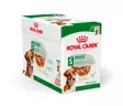 Royal Canin Mini Adult koiran märkäruoka - Koiran märkäruoat ja makkarat - 23352 - 1