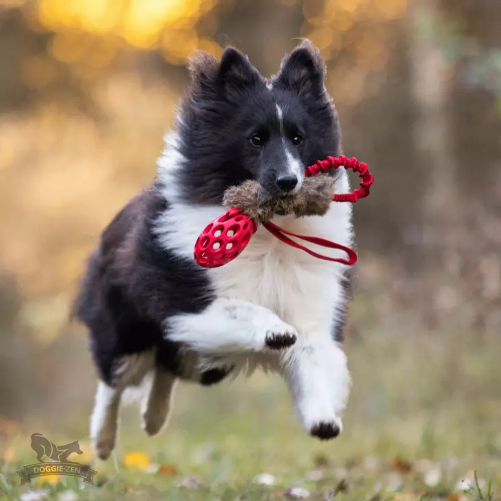 joustava vetolelu kaninkarvalla - Saalis- ja vetolelut - 44672 - 1