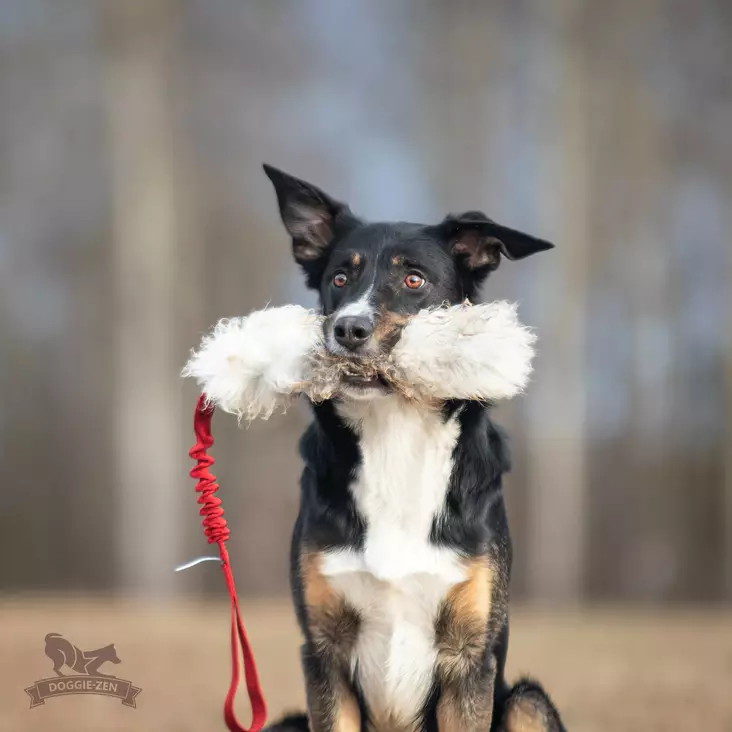 Doggie-Zen Bungee Sheepskin Tug L - Aitoa karvaa sisältävät lelut - 42032 - 1