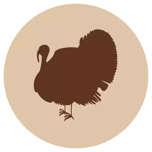 F-A Kalkkunapulla, luuton 700 g - Kalkkuna - 40372 - 1