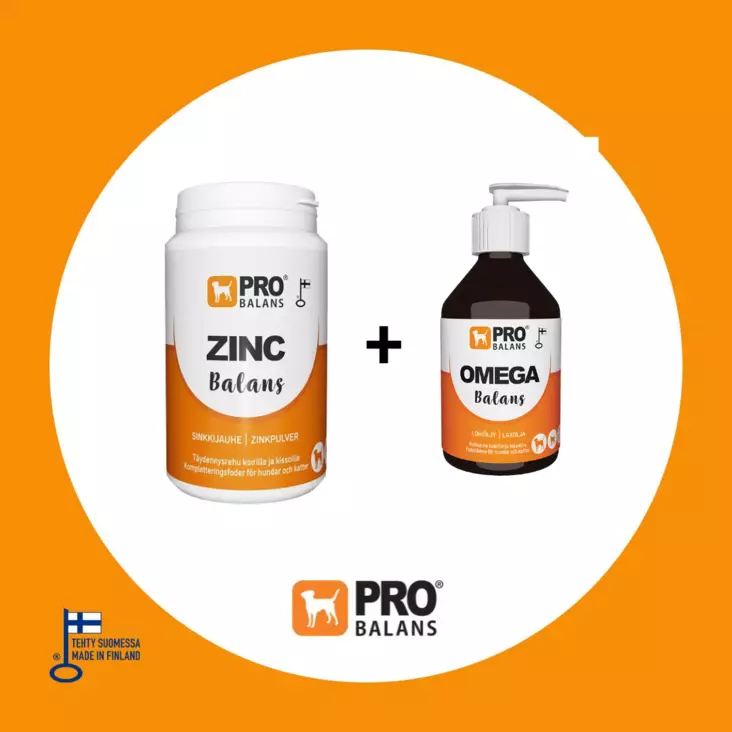 Probalans ZincBalans 120 g + OmegaBalans 250 ml paketti - Vitamiinit ja lisäravinteet - 9132 - 2