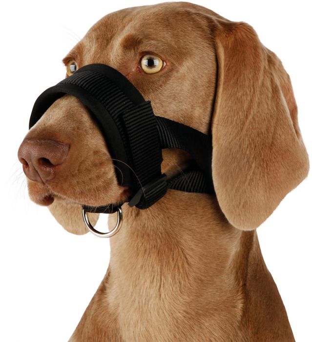 Trixie pehmustettu kuonopanta - Kuonopannat - 020662 - 2