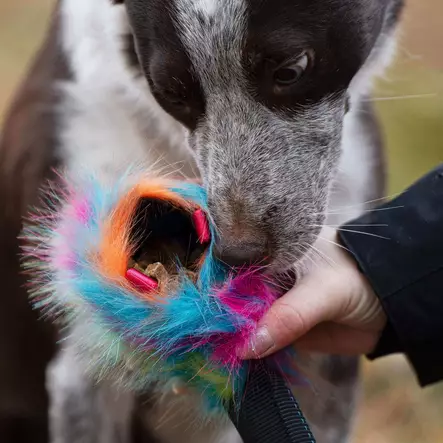 namipallo - Saalis- ja vetolelut - 44673 - 2