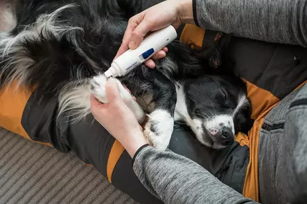 Kynsitrimmeri hell=C3=A4varaiseen kynsienhoitoon - Kynsien ja tassujenhoito - 23633 - 2