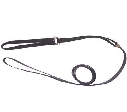 Näyttelytalutin puolikiristävällä pantaosalla, leveys 6 mm - Näyttelytarvikkeet - 105413 - 2