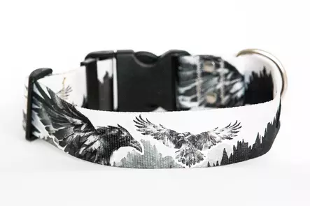 Nylonpanta pikalukolla 35 mm, Korppi - Pistolukko- ja solkipannat - 26913 - 2