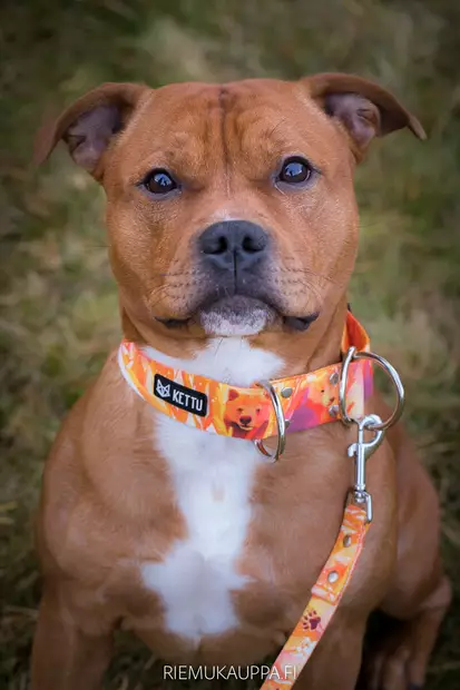 Nylontalutin pistoolilukolla, Karhu - Tekstiilitaluttimet - 002783 - 2