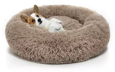 P=C3=B6rr=C3=B6peti isolle koiralle beige - Reunalliset pedit - 26673 - 1