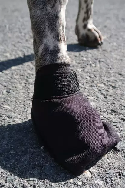 koiran corduratossut - Tossut ja kengät - 43903 - 2