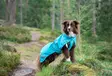 KuoriPomppa Arctic, koiran sadetakki - Takit ja manttelit - 42553 - 4