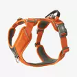 Dog Copenhagen Comfort Walk Pro 3.0, Orange Sun - Koiran valjaat - 29033 - 1
