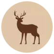 F-A Poron jauheliha 500 g - Riista - 40353 - 1