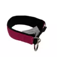 pinkki koiran kaulapanta - Puolikiristävät pannat - 41353 - 2