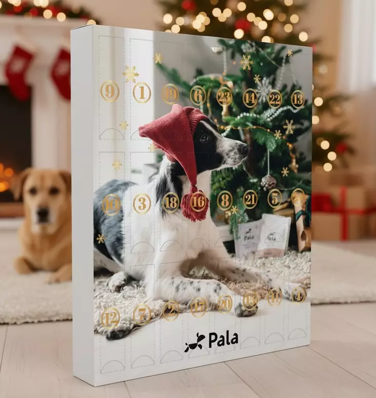 Pala Joulukalenteri - Pakaste- ja ilmakuivatut ruoat - 20303 - 1