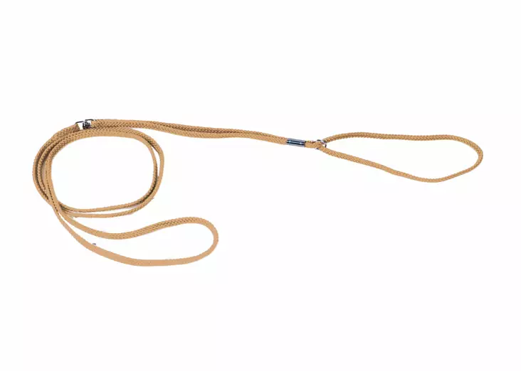 Vaaleanruskea / beige n=C3=A4yttelytalutin - Näyttelytarvikkeet - 27013 - 1