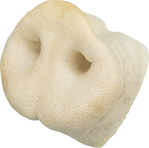 Possun nenä - Kuivatut lihaherkut - 9573 - 2