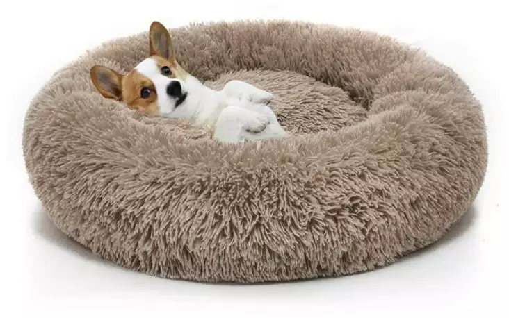 P=C3=B6rr=C3=B6peti isolle koiralle beige - Reunalliset pedit - 26673 - 1