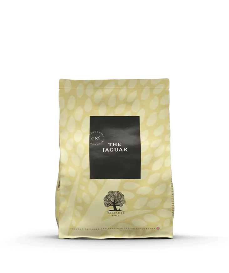 The Jaguar - Essential - 002613 - 1