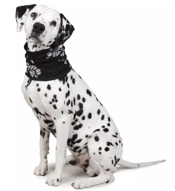 Tuubihuivi heijastimella - Huomioliivit ja heijastimet - 29643 - 1