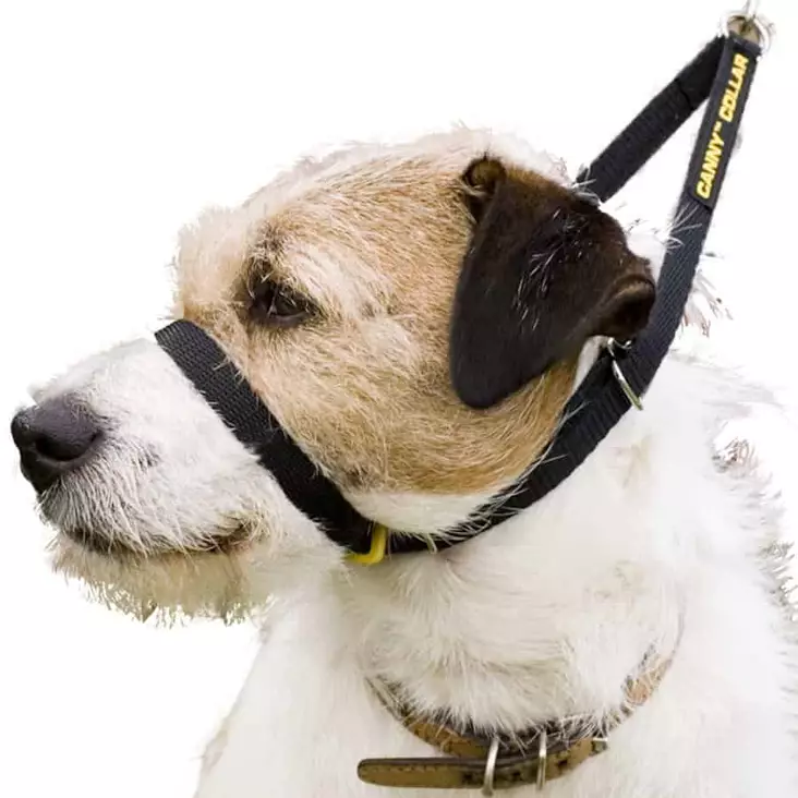 Vedonestopanta Canny Collar, musta - Kuonopannat - 101393 - 1