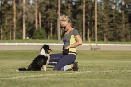 Namipussi Popit magneettilukolla - Treenitaskut ja namipussit - 002604 - 2