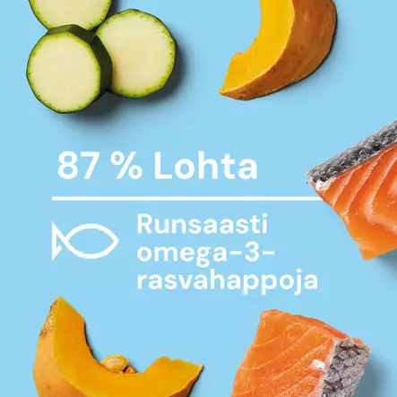 kypsä lohiateria koirille - Kypsennetyt ateriat - 44004 - 2