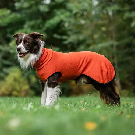 Kotimainen merinovillapaita koiralle - Neuleet ja pusakat - 20254 - 1