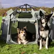 pet tent m-koko - Häkit ja kantoboxit - 42983 - 12