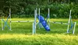 Agilityhyppy taittuva 3 kpl + kassi - Agility ja hoopers - 23384 - 14