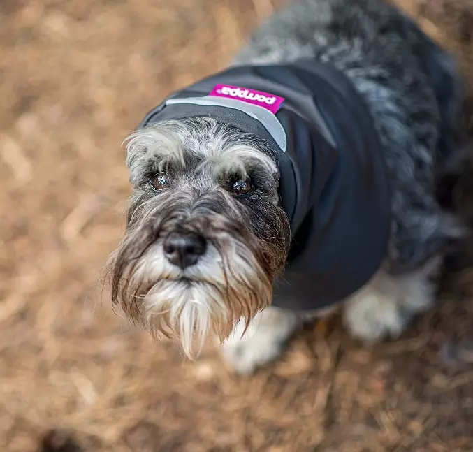 HuppuPomppa koiran kauluri - Koiran vaatteet - 29644 - 1