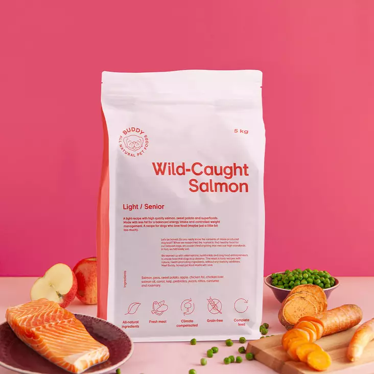 buddy koiranruoka lohi - Buddy - 41254 - 1