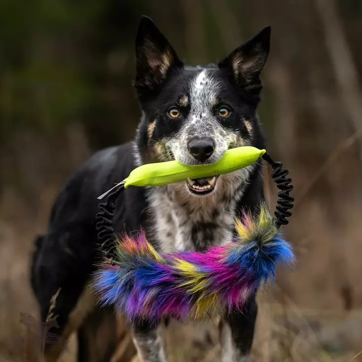 Bungee Squeaker Tube Ring Fake Fur - Saalis- ja vetolelut - 42354 - 1
