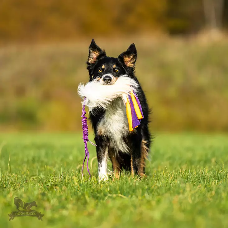 Doggie-Zen Bungee Sheepskin Tug L with Fleece Tails - Aitoa karvaa sisältävät lelut - 42024 - 1