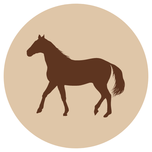 F-A Hevosen palaliha 500 g - Hevonen - 40374 - 1