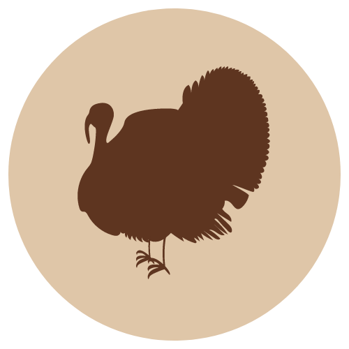 Kalkkunan jauheliha, luuton 500g - Kalkkuna - 4544 - 1