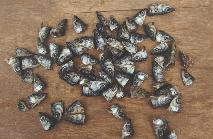 Ev=C3=A4k=C3=A4s kuivattu muikunp=C3=A4=C3=A4 kissojen ja koirien herk=
ku - Kissan makupalat ja herkut - 003704 - 1