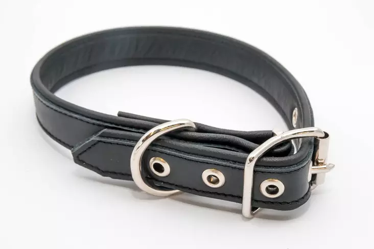 Nahkapanta soljella, musta - Nahkapannat - 102194 - 1