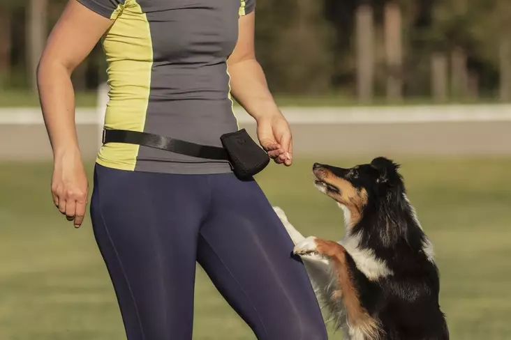 Namipussi Popit magneettilukolla - Treenitaskut ja namipussit - 002604 - 1