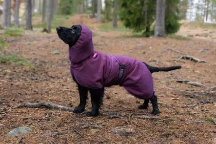 BathPomppa koiran kylpytakki, luumu - Neuleet ja pusakat - 29315 - 2