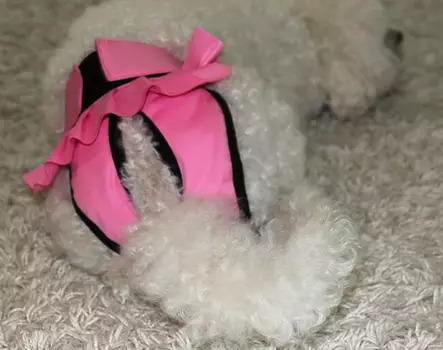 Ballerina narttusuoja pinkki - Juoksuhousut ja urossuojat - 020305 - 2