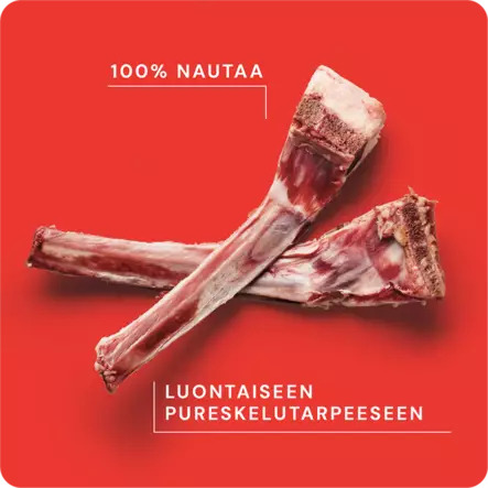 Nutriment by RAUH Naudan kylkiluut 1 kg - Luut ja rustot - 42545 - 2