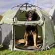 pet tent L-koko - Häkit ja kantoboxit - 42983 - 13