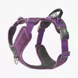 Dog Copenhagen Comfort Walk Pro 3.0, violetti - Koiran valjaat - 42135 - 1