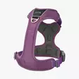 Dog Copenhagen Comfort Walk Pro 3.0, violetti - Koiran valjaat - 42135 - 3