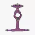 Dog Copenhagen Comfort Walk Pro 3.0, violetti - Koiran valjaat - 42135 - 4